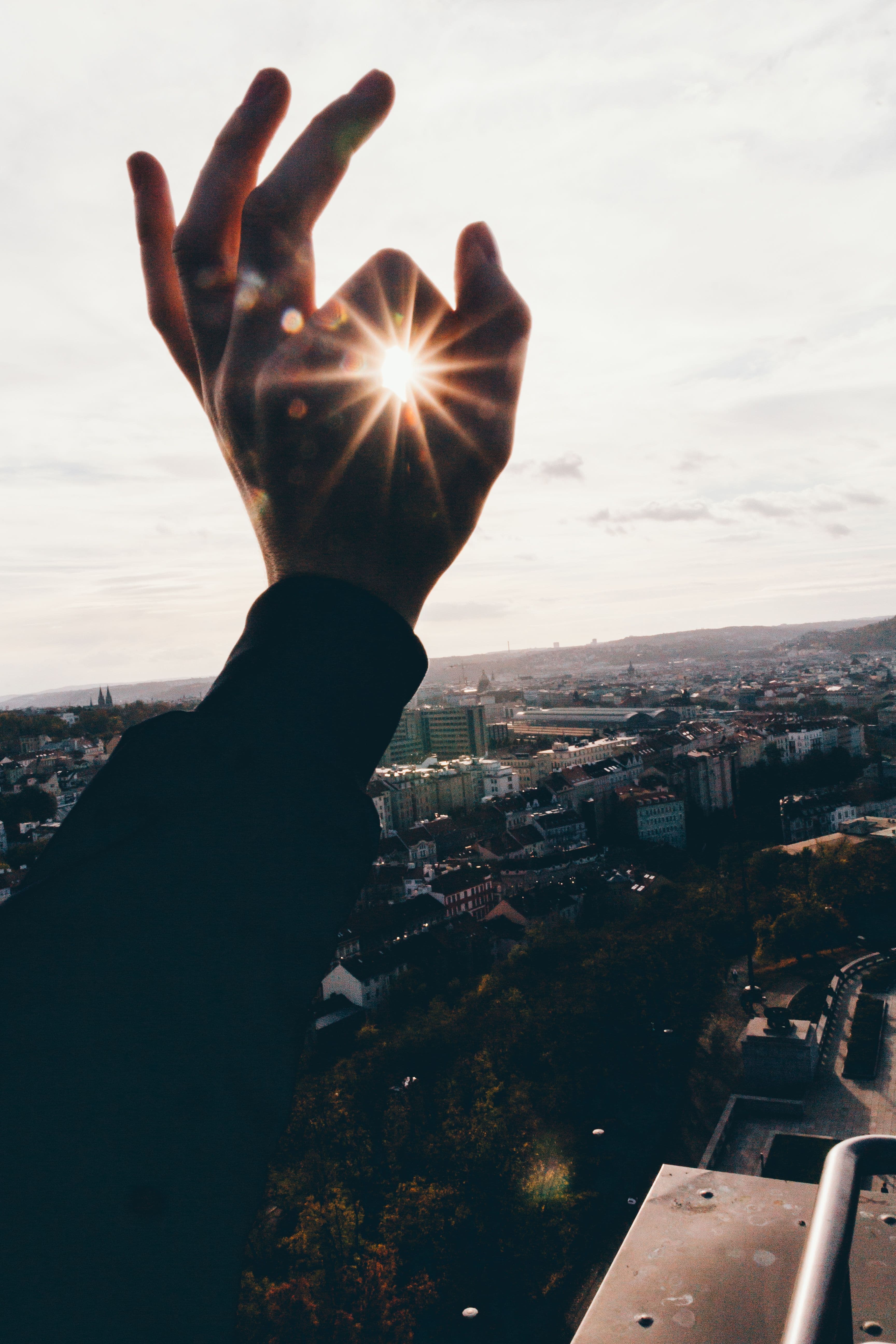 A hand reaching into warm sunlight.